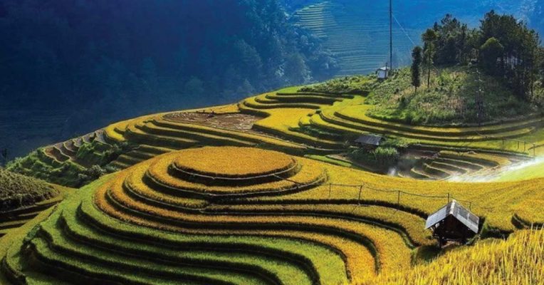 Chuyên đề Phục hồi du lịch - Hành vi du khách & Quản trị tinh gọn